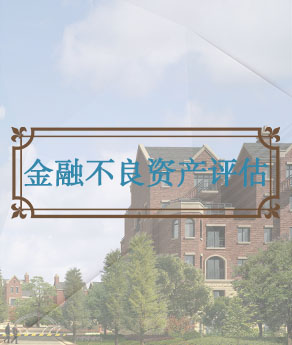 湖北金融不良资产评估